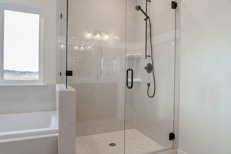 Stylish Shower Door